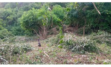 LOTE SANTA MARTA CERCA AL PARQUE NACIONAL TAYRONA