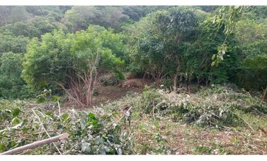 LOTE SANTA MARTA CERCA AL PARQUE NACIONAL TAYRONA