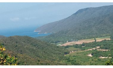 LOTE SANTA MARTA CERCA AL PARQUE NACIONAL TAYRONA