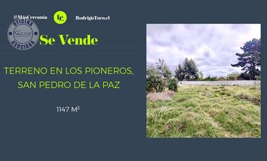 Sitio en Venta en las rosas st 8 mz m sol
