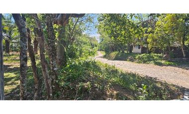 FINCA DE 11.7 CON SIEMBRO DE PALMA ACEITERA