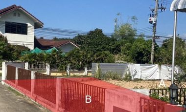 Land for sale in Pha Sing, Nan