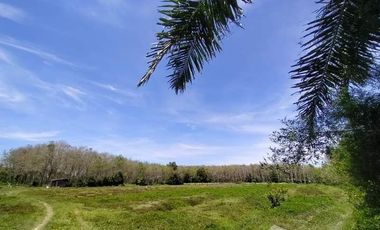 Land for sale in Pho Thong, Nakhon Si Thammarat