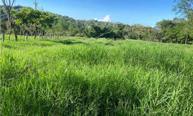VENDO FINCA DE 198 HECTAREAS VOLCAN