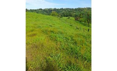 VENDO FINCA DE 198 HECTAREAS VOLCAN