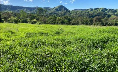 VENDO FINCA DE 198 HECTAREAS VOLCAN