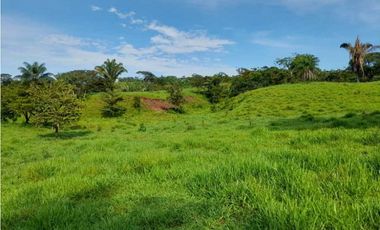 VENDO FINCA DE 198 HECTAREAS VOLCAN
