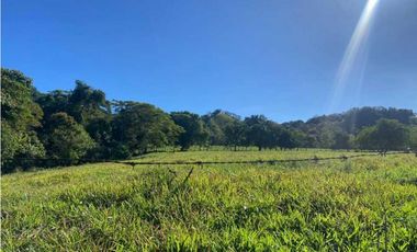 VENDO FINCA DE 198 HECTAREAS VOLCAN