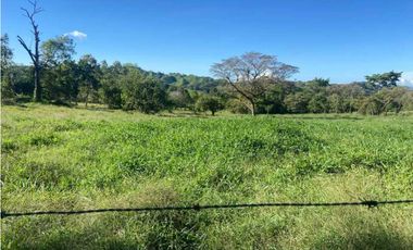 VENDO FINCA DE 198 HECTAREAS VOLCAN