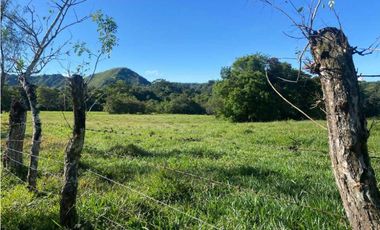 VENDO FINCA DE 198 HECTAREAS VOLCAN