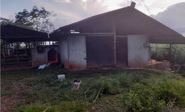 VENDO FINCA DE 198 HECTAREAS VOLCAN