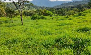 VENDO FINCA DE 198 HECTAREAS VOLCAN