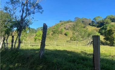 VENDO FINCA DE 198 HECTAREAS VOLCAN