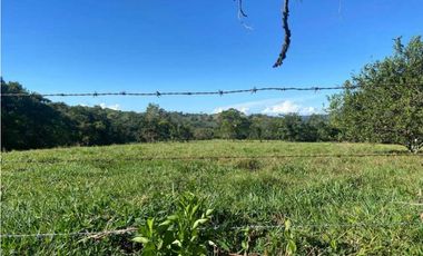 VENDO FINCA DE 198 HECTAREAS VOLCAN