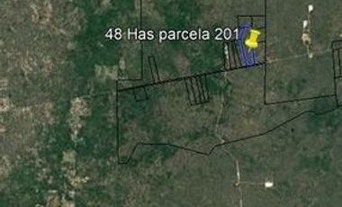 VENTA DE TERRENO, TETIZ YUCATAN