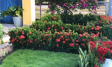 SEA CONFIABLE VENDE CASA EN SANTA CLARA 2 RECAMARAS