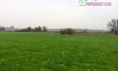 Parcela en Venta en Camino Carampangue - Lonquén Sur