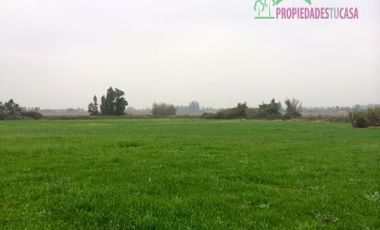 Parcela en Venta en Camino Carampangue - Lonquén Sur