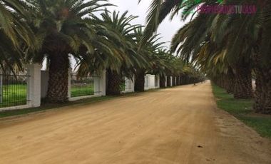 Parcela en Venta en Camino Carampangue - Lonquén Sur