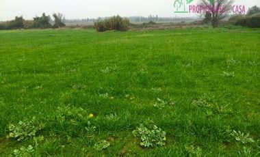 Parcela en Venta en Camino Carampangue - Lonquén Sur