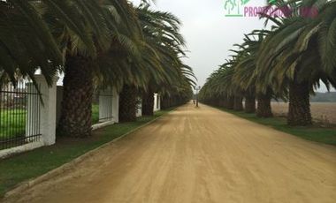 Parcela en Venta en Camino Carampangue - Lonquén Sur