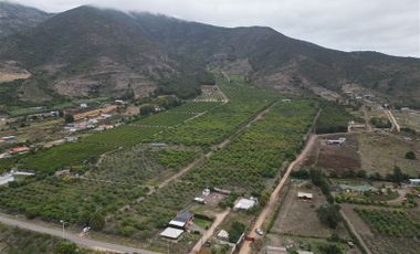 Agrícola en Venta en Los Maquis, Puchuncaví