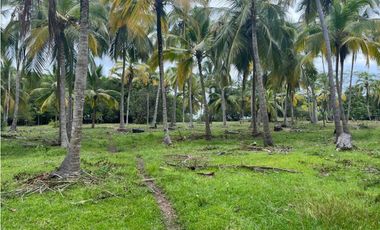 Lotes en Buritaca, Magdalena, cerca al Parque Tayrona