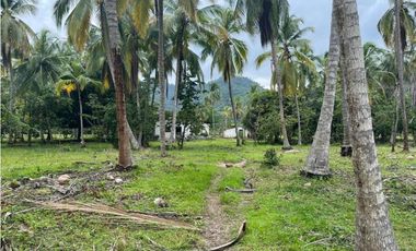 Lotes en Buritaca, Magdalena, cerca al Parque Tayrona