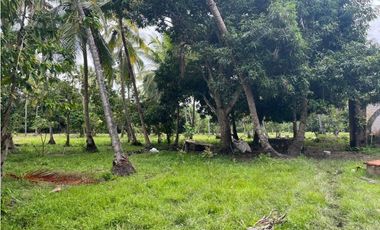 Lotes en Buritaca, Magdalena, cerca al Parque Tayrona