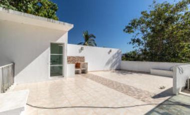 Casa Armadillo