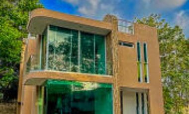 Casa Armadillo