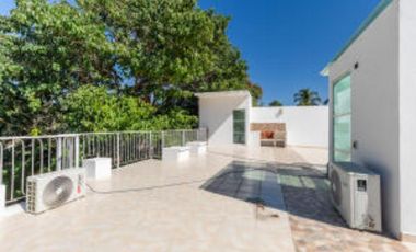 Casa Armadillo