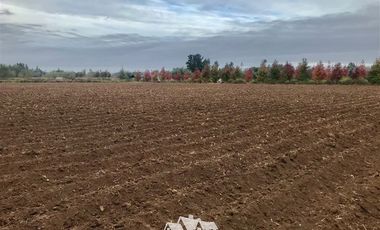 Sitio en Venta en 100 metros al sur de cruce Purisima con las Rastras, 5 minutos al oriente por camino rural de tierra