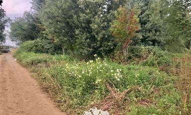 Sitio en Venta en 100 metros al sur de cruce Purisima con las Rastras, 5 minutos al oriente por camino rural de tierra