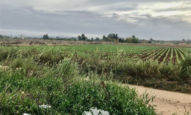 Sitio en Venta en 100 metros al sur de cruce Purisima con las Rastras, 5 minutos al oriente por camino rural de tierra