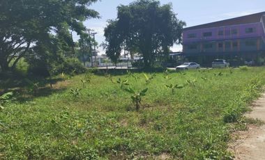 Land for sale in Nong Chom, Chiang Mai