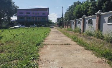 Land for sale in Nong Chom, Chiang Mai