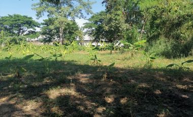 Land for sale in Nong Chom, Chiang Mai