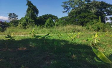 Land for sale in Nong Chom, Chiang Mai