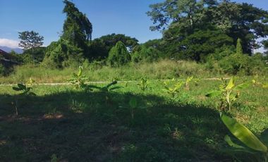 Land for sale in Nong Chom, Chiang Mai