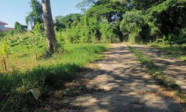 Land for sale in Nong Chom, Chiang Mai