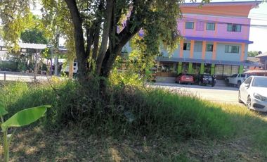 Land for sale in Nong Chom, Chiang Mai