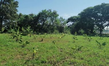 Land for sale in Nong Chom, Chiang Mai