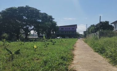 Land for sale in Nong Chom, Chiang Mai