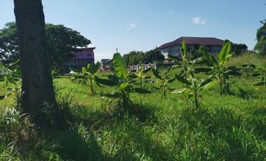 Land for sale in Nong Chom, Chiang Mai