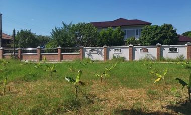 Land for sale in Nong Chom, Chiang Mai