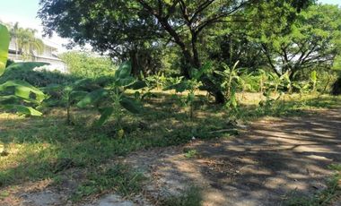 Land for sale in Nong Chom, Chiang Mai