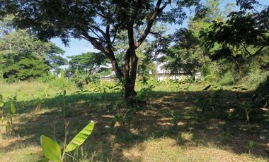 Land for sale in Nong Chom, Chiang Mai