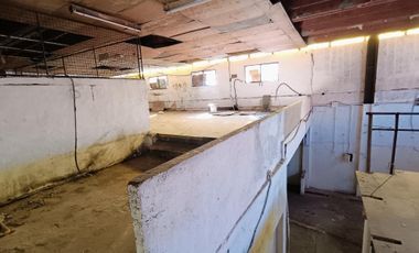 VENTA Galpon Industrial Murro