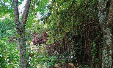 ¡Oportunidad de Inversión! Terreno Comercial en Centro Panguipulli!